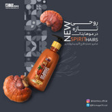 خرید آنلاین شامپو روزانه گانودرما بیز