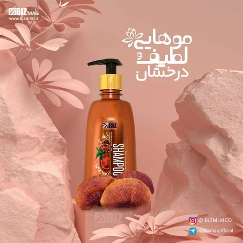 خرید آنلاین شامپو گانودرما مخصوص موهای خشک