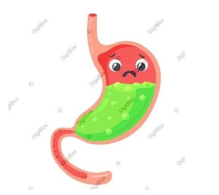 خرید آنلاین قرص گیاهی معده درد تضمینی