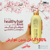 شامپو مورینگا اکسونیک اصل ۴ عددی