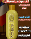 شامپو مورینگا اصلی /اکسونیک /۳۰۰ میلی