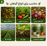 کود باغچه کامل پلت ۲۵ کیلویی کروا