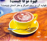 قهوه گانودرما موکا دکتر بیز 10 ساشهای | خرید اصل با ارسال فوری