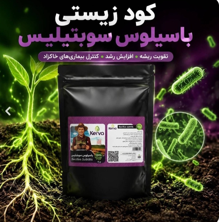 کود دانش بنیان باسیلوس سوبتیلیس ۱ کیلویی